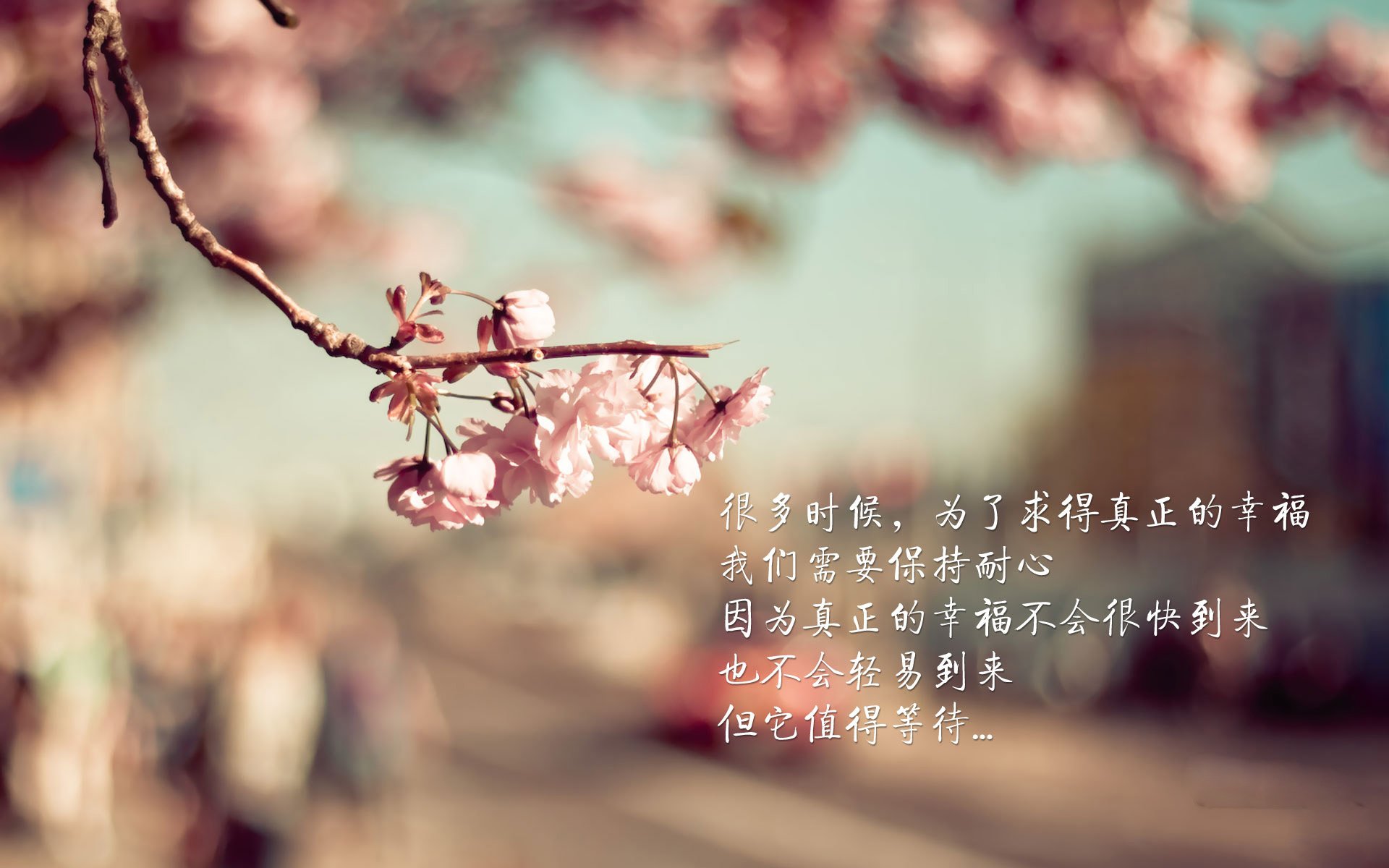 vwin.com-五大联赛上半场控球优势是否总能转化为进球，五大联赛单场进6球