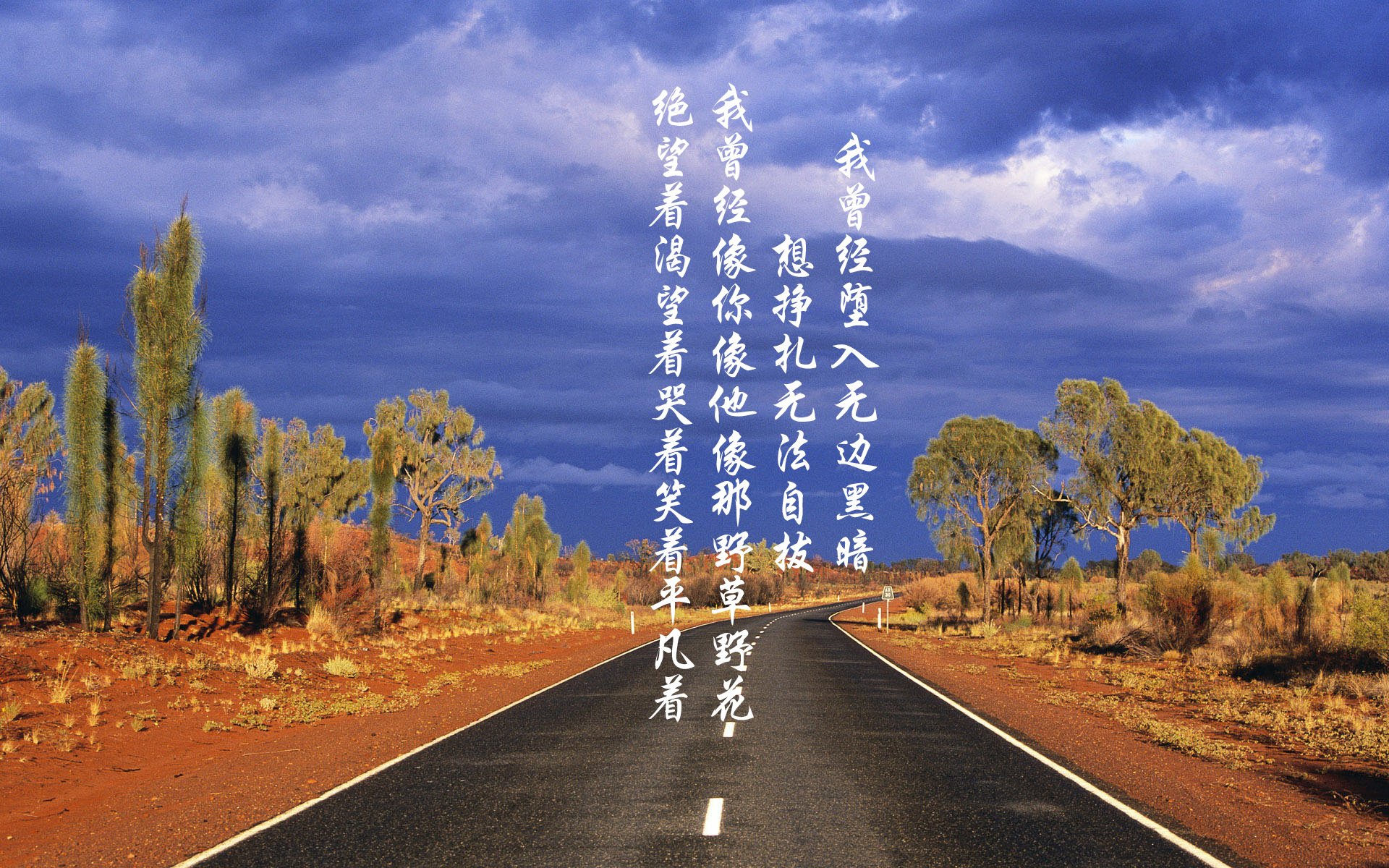 “中超豪门引援策略升级，目标直指联赛冠军”，中超豪车