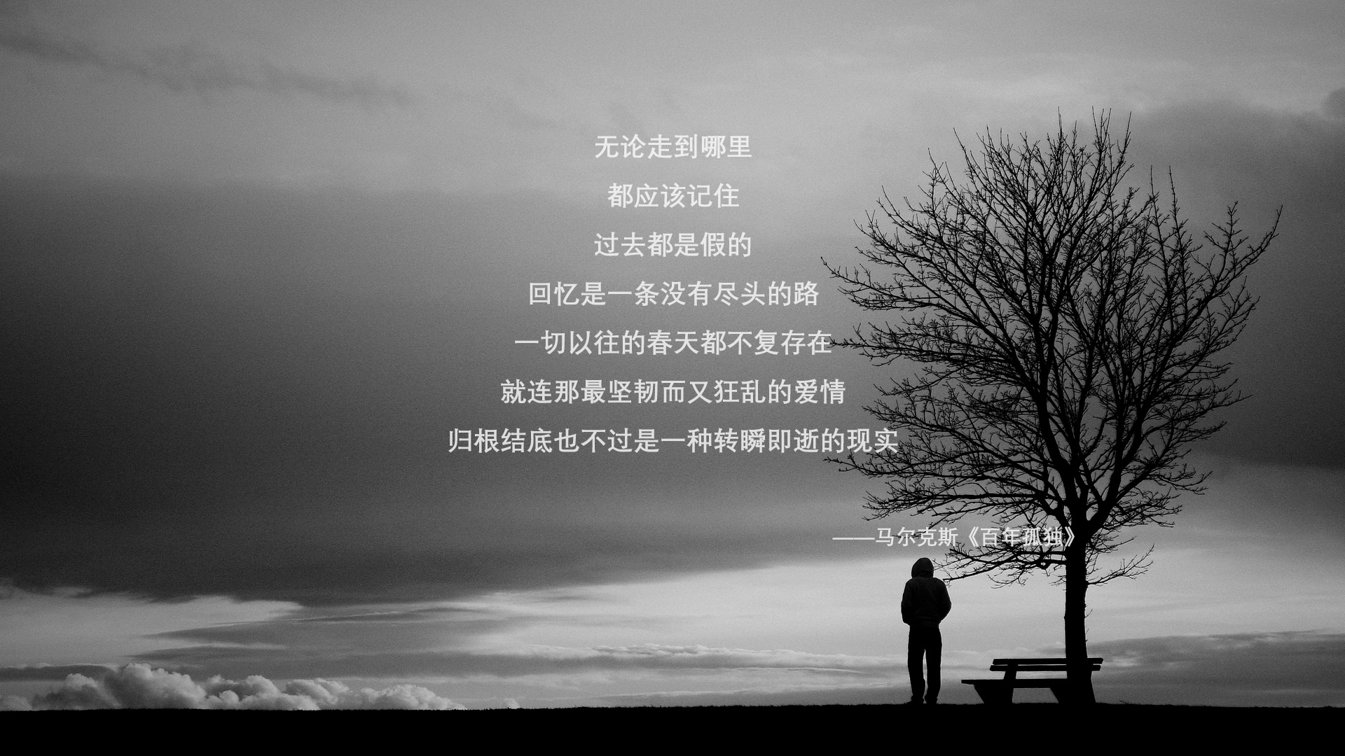 青少年“星耀杯”全国青少年篮球比赛吸引广泛关注，星火杯青少年篮球精英赛
