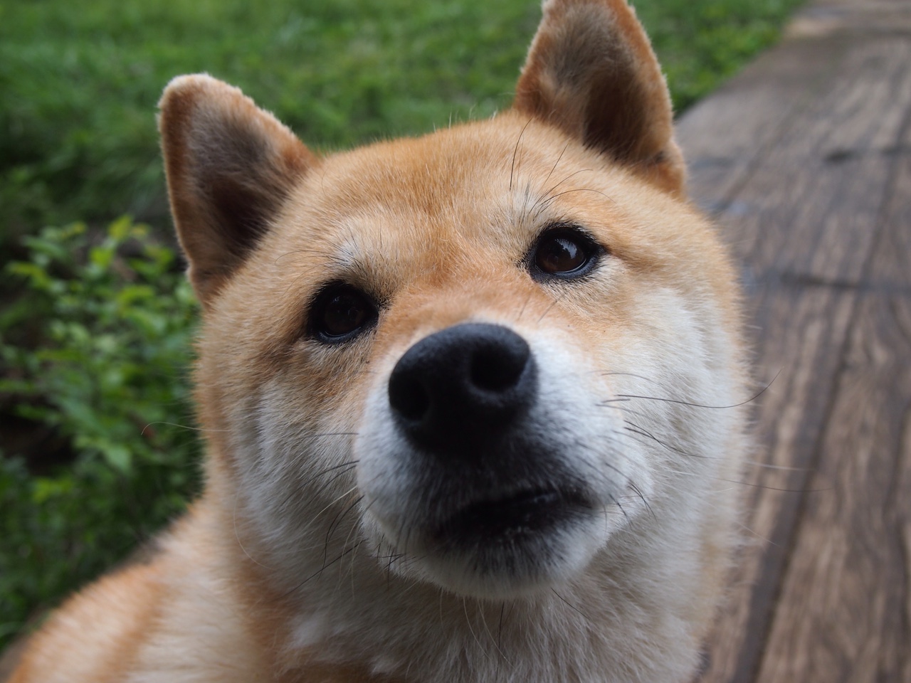 乌拉圭男篮在南美锦标赛中不断突破，体育影响逐步扩大，乌拉圭男篮实力