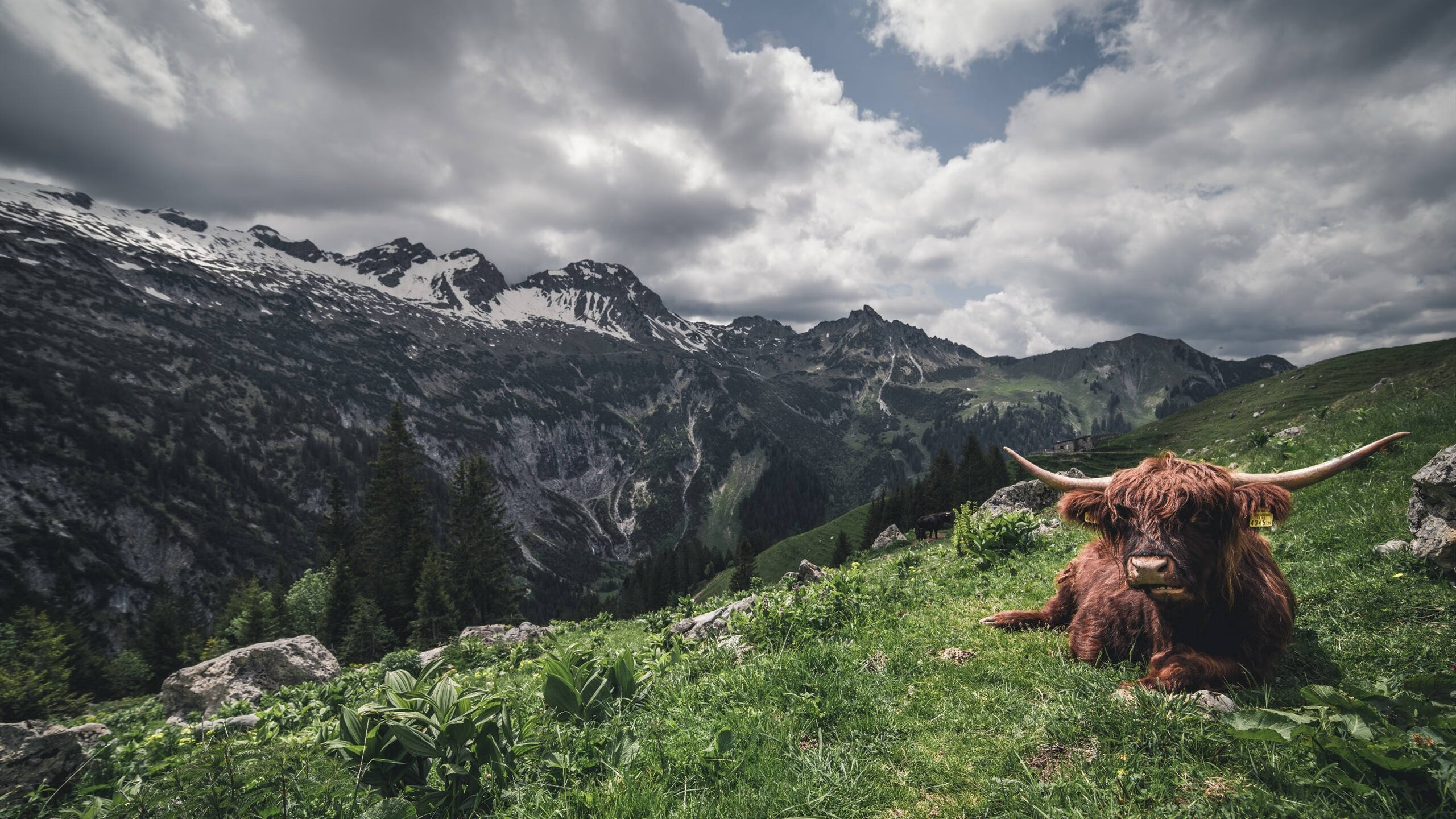 史密斯赛后分享备战心得，史密斯cba60分回放